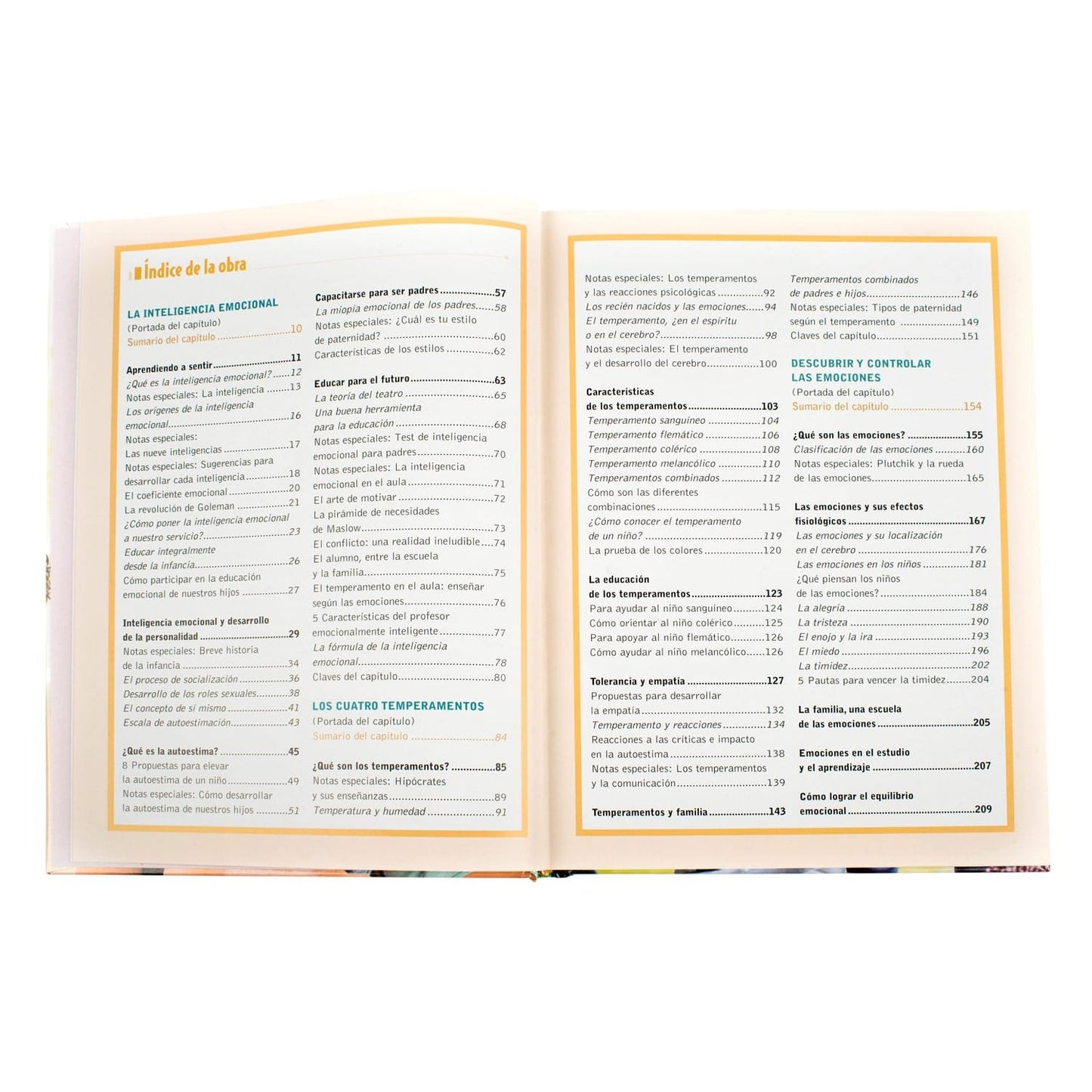 Inteligencia Emocional