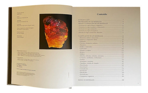 Libro Atlas Ilustrado Minerales, De Borja Sainz De Baranda, Vol. 1. Editorial Susaeta Ediciones, Tapa Dura (1)