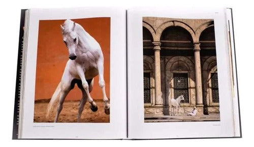 Libro The Arabian Horse - Caballos Arabes - Konemann/idiomas