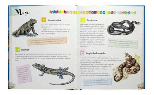 Libro 365 Curiosidades De Animales - Lee Cada Dia - Lexus