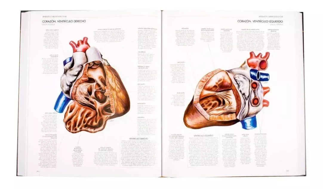 Atlas Anatomía Patología Fisiología del Cuerpo Humano
