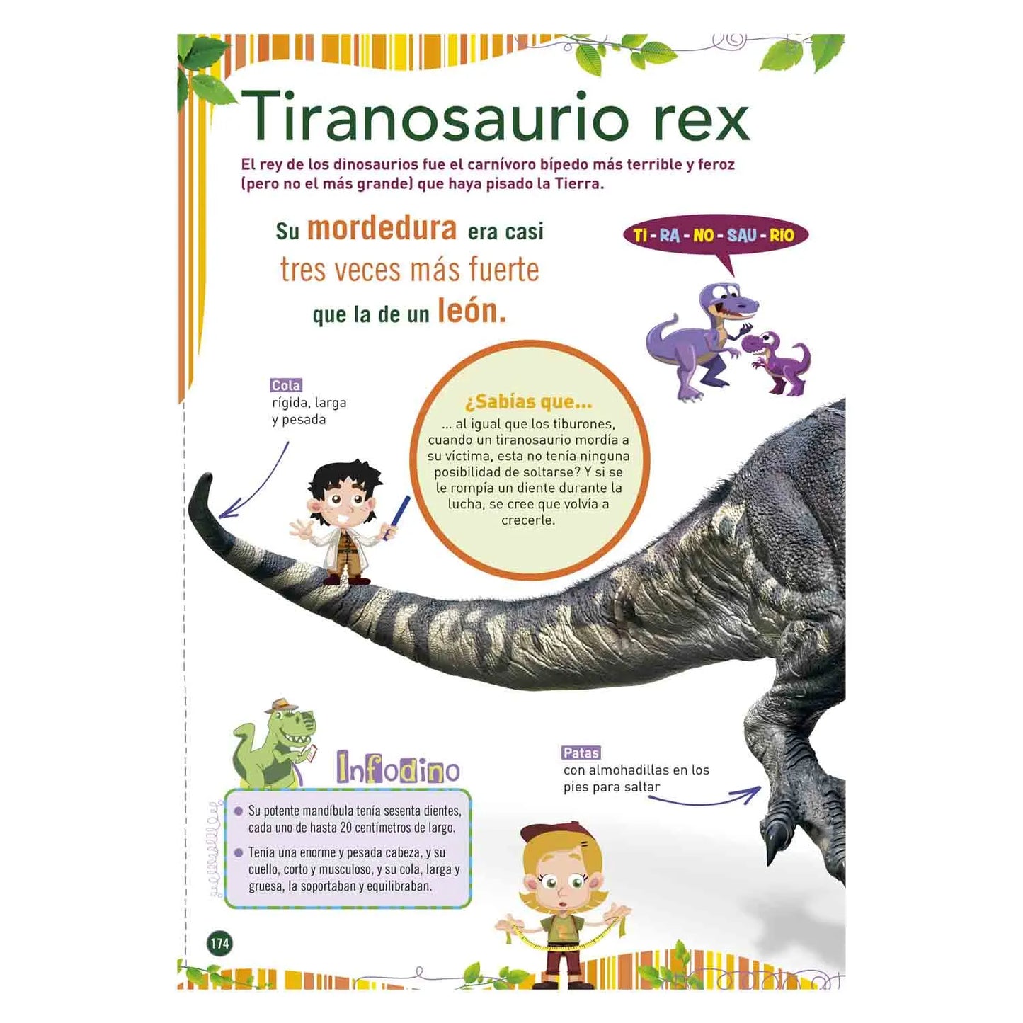 Dinosaurios El Gran Safari + DVD