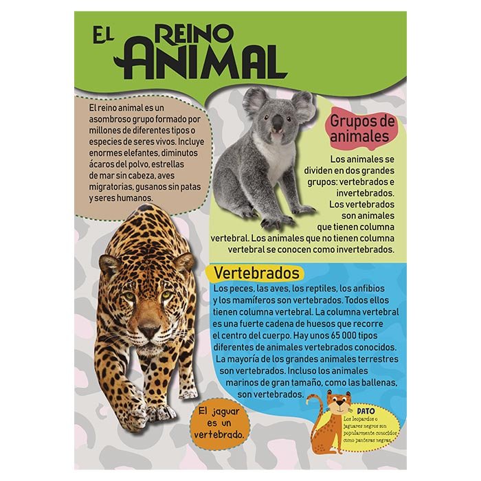 Mi Gran Libro de Animales