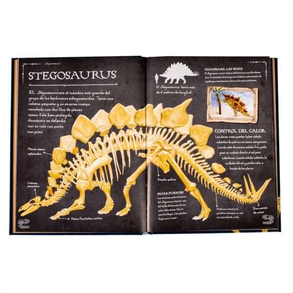 Colección de Huesos de Dinosaurios