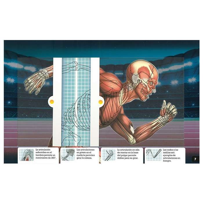 Scanorama Cuerpo Humano