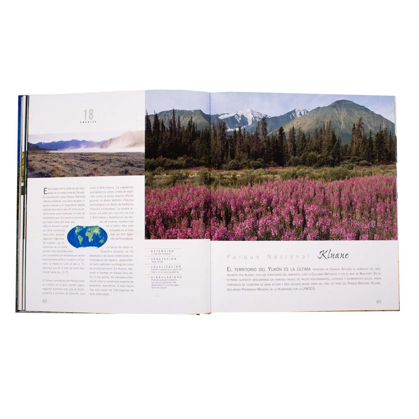 Atlas Ilustrado Bosques Monumentales