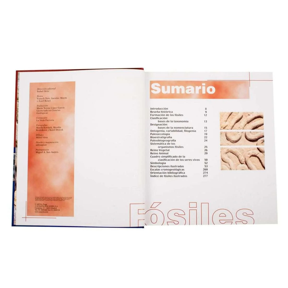Atlas ilustrado de Los Fósiles