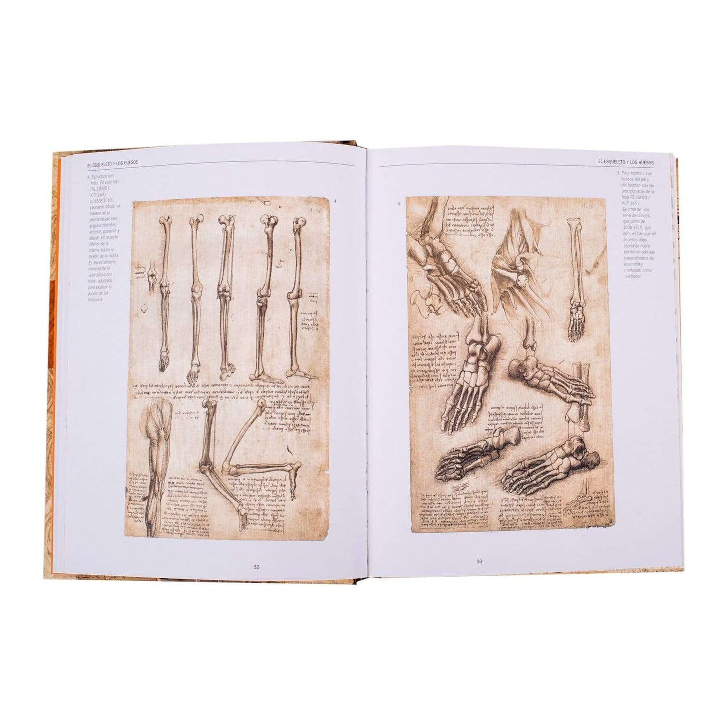 Leonardo Da Vinci – Anatomía y Vuelo