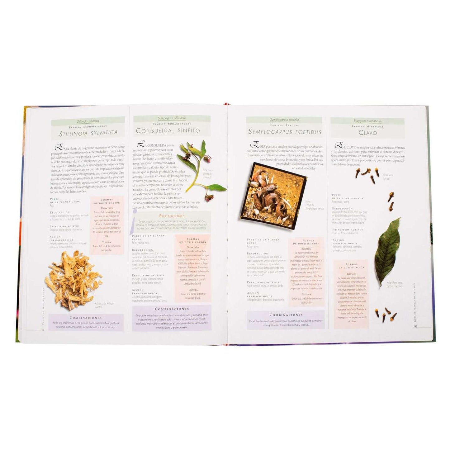 Atlas Ilustrado de las Plantas Medicinales