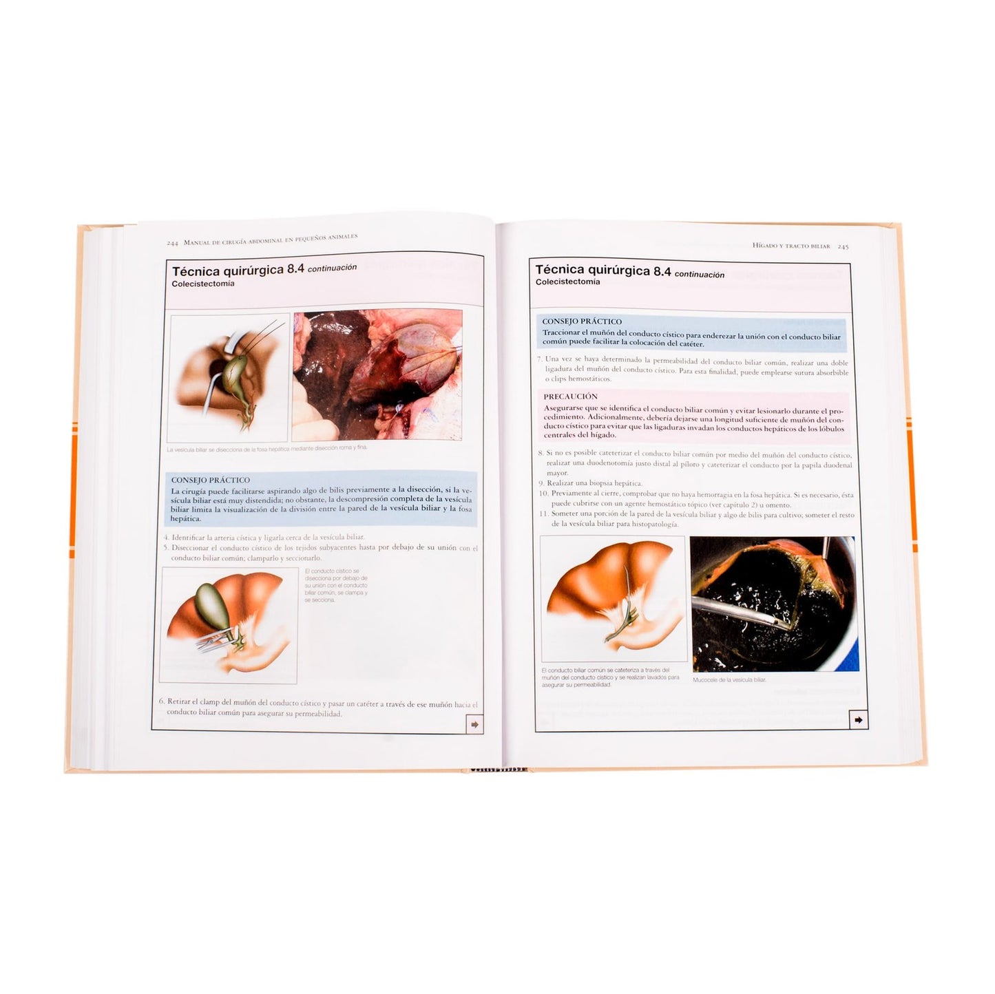Manual de Cirugía Abdominal en Pequeños Animales