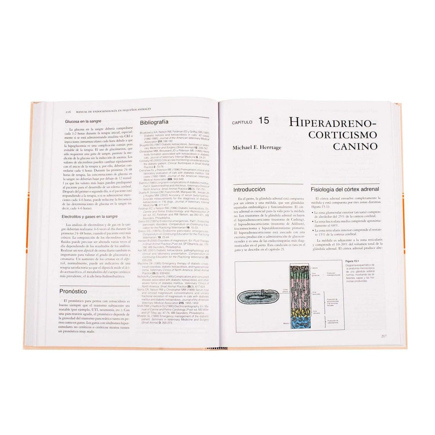 Manual de Endocrinología