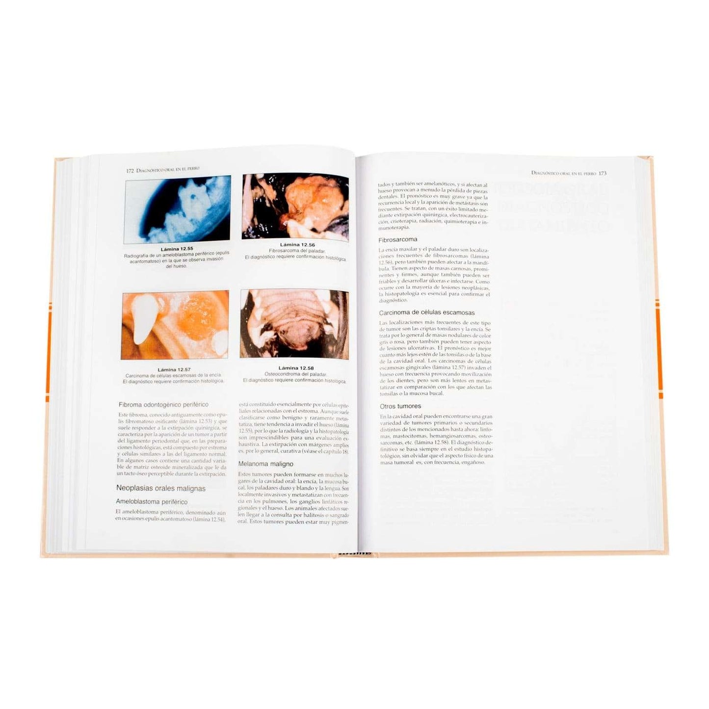Manual de Odontología