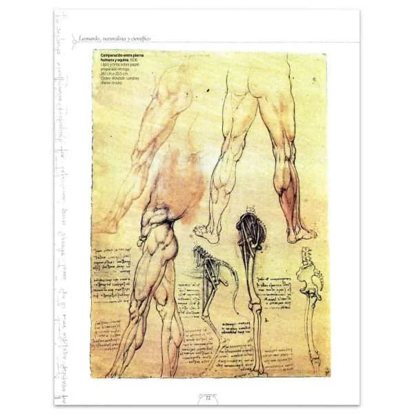 Libro Leonardo, Un Genio Universal - Nuevo, Original - Lexus