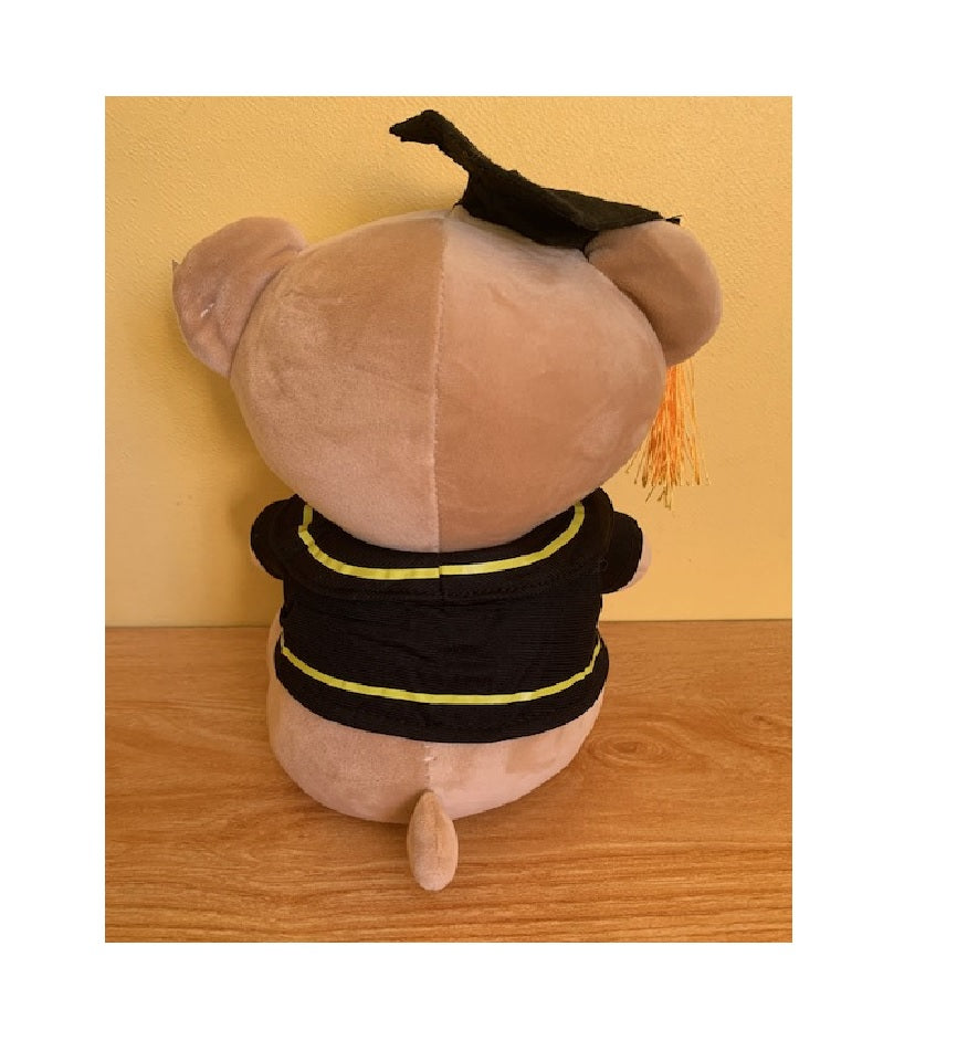 Peluche Osito Graduacion Kawaii De Felpa Suave 25cm