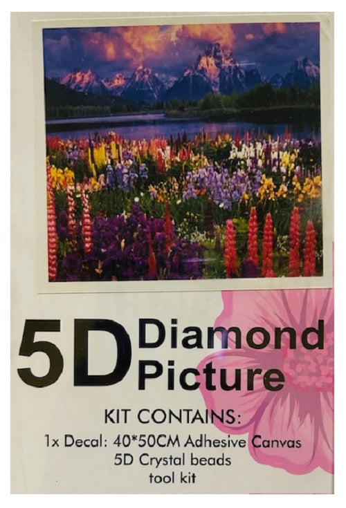 Kit Pintura Diamante 5d 40x50cm Con Herramientas
