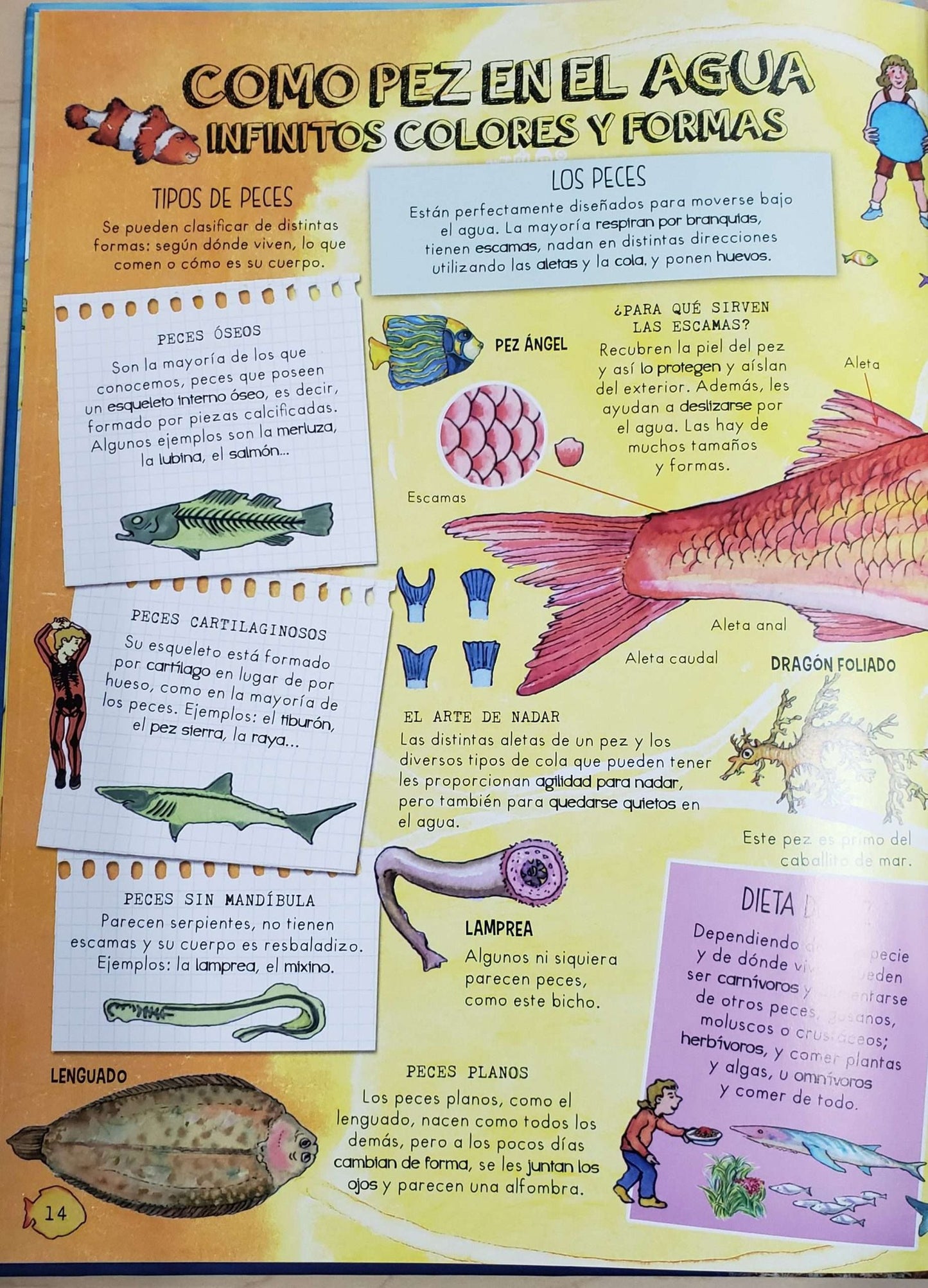 Descubre Mares y Océanos