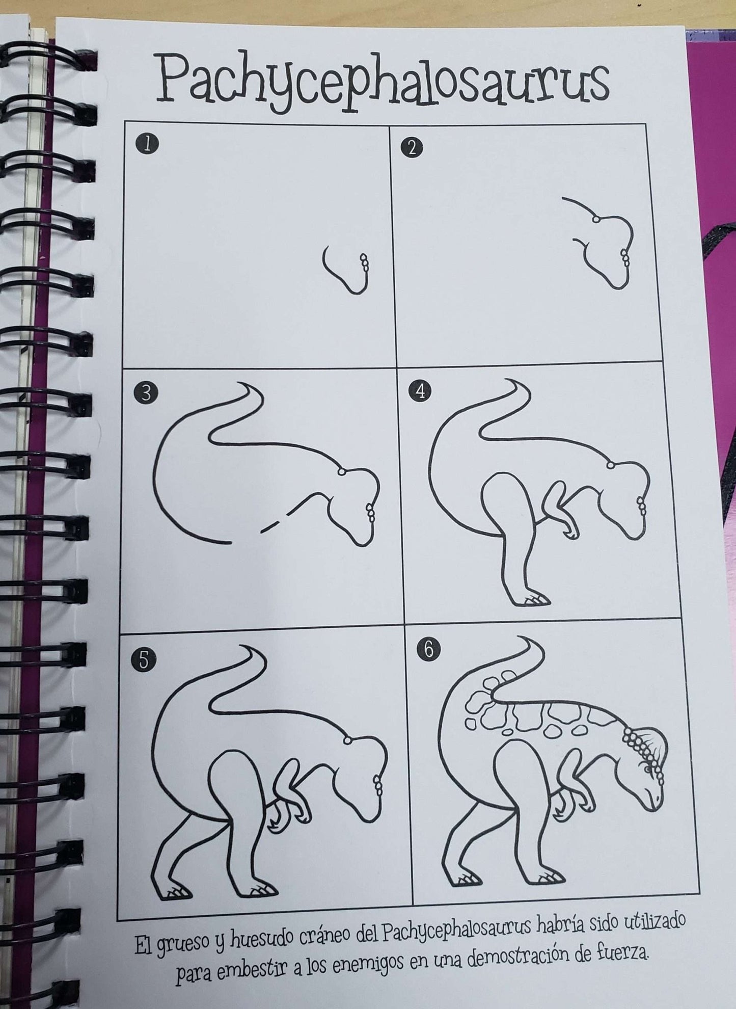 Dinosaurios – Colección Raspa y Dibuja