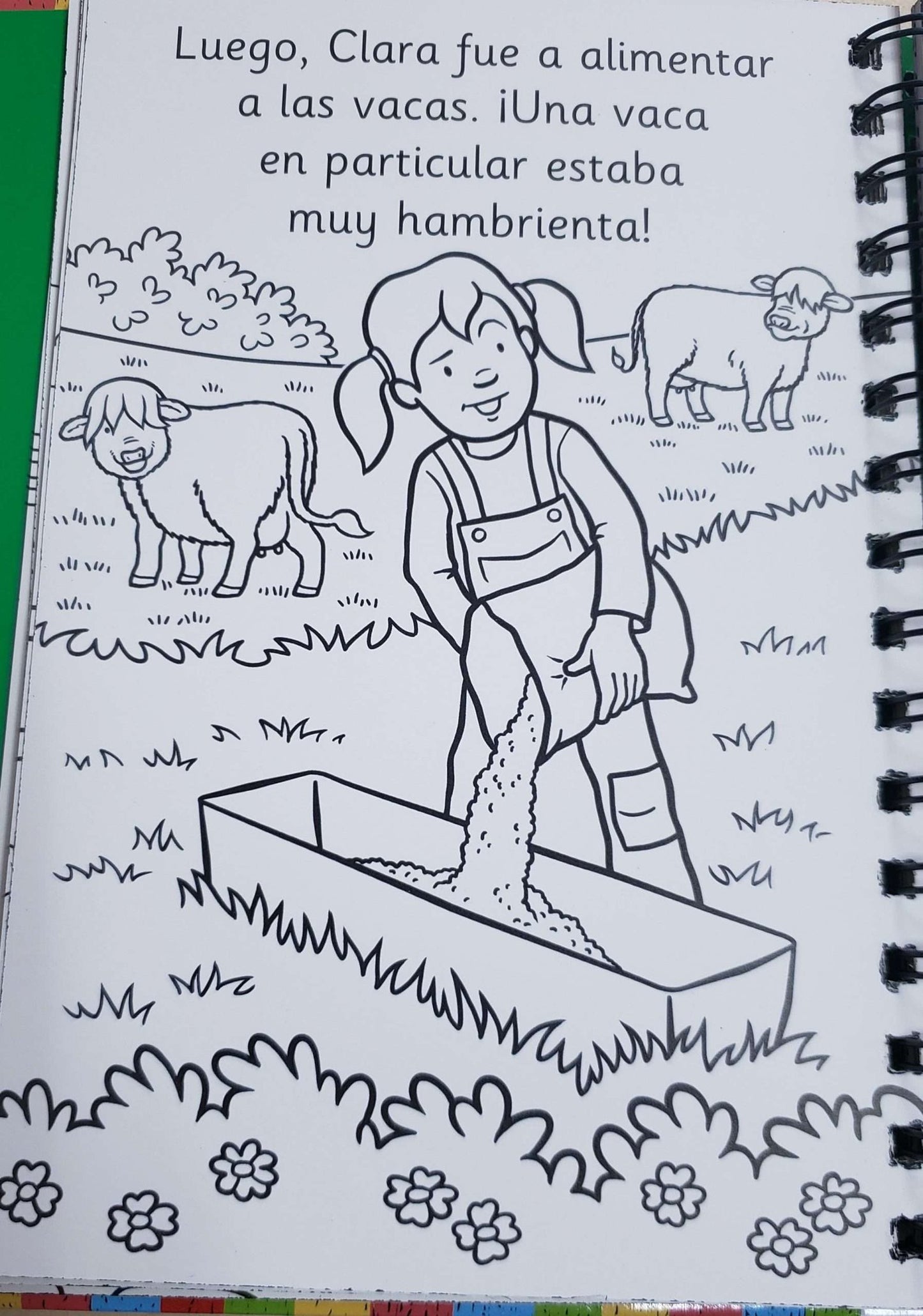 Animales de la Granja – Colección Raspa y Dibuja