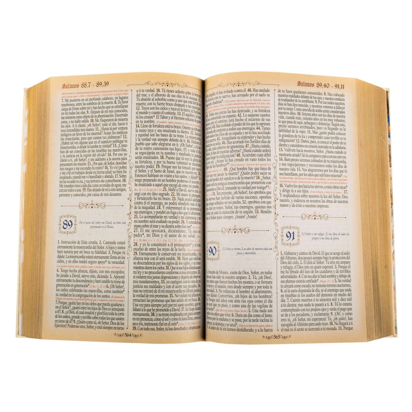 Sagrada Biblia Dorada Grande