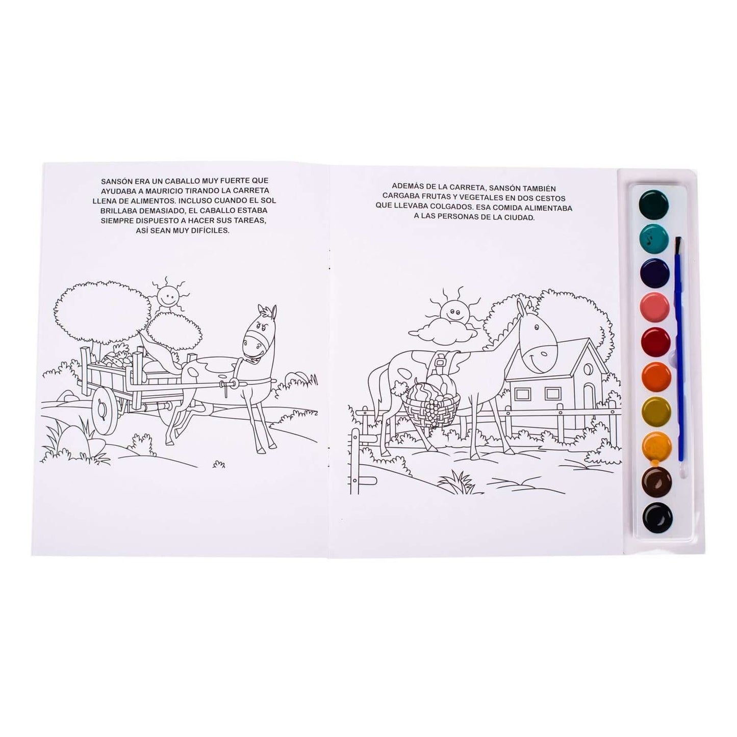 Animales Divertidos - Libro con Acuarelas