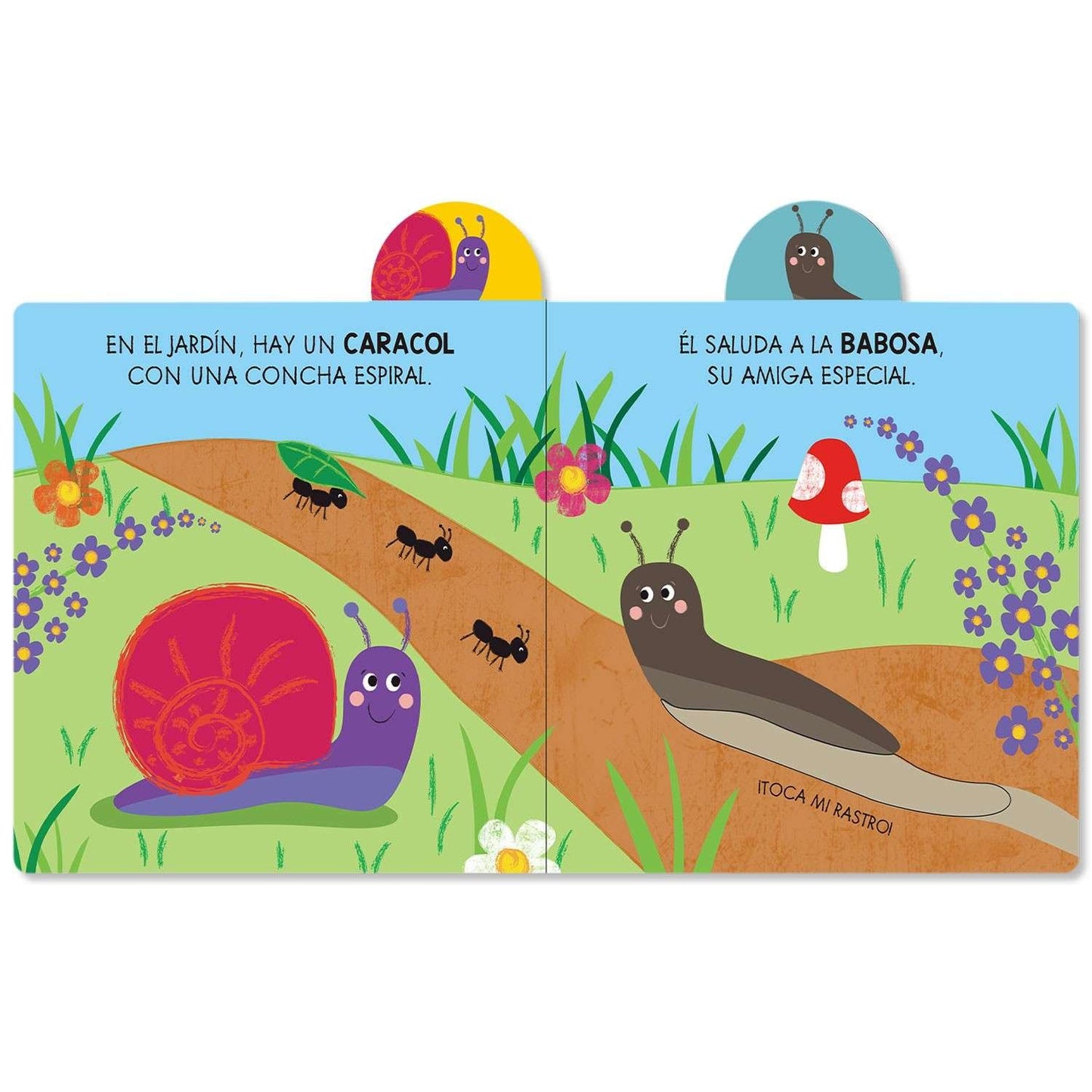 Aventuras en el Jardín - Pequeños Exploradores