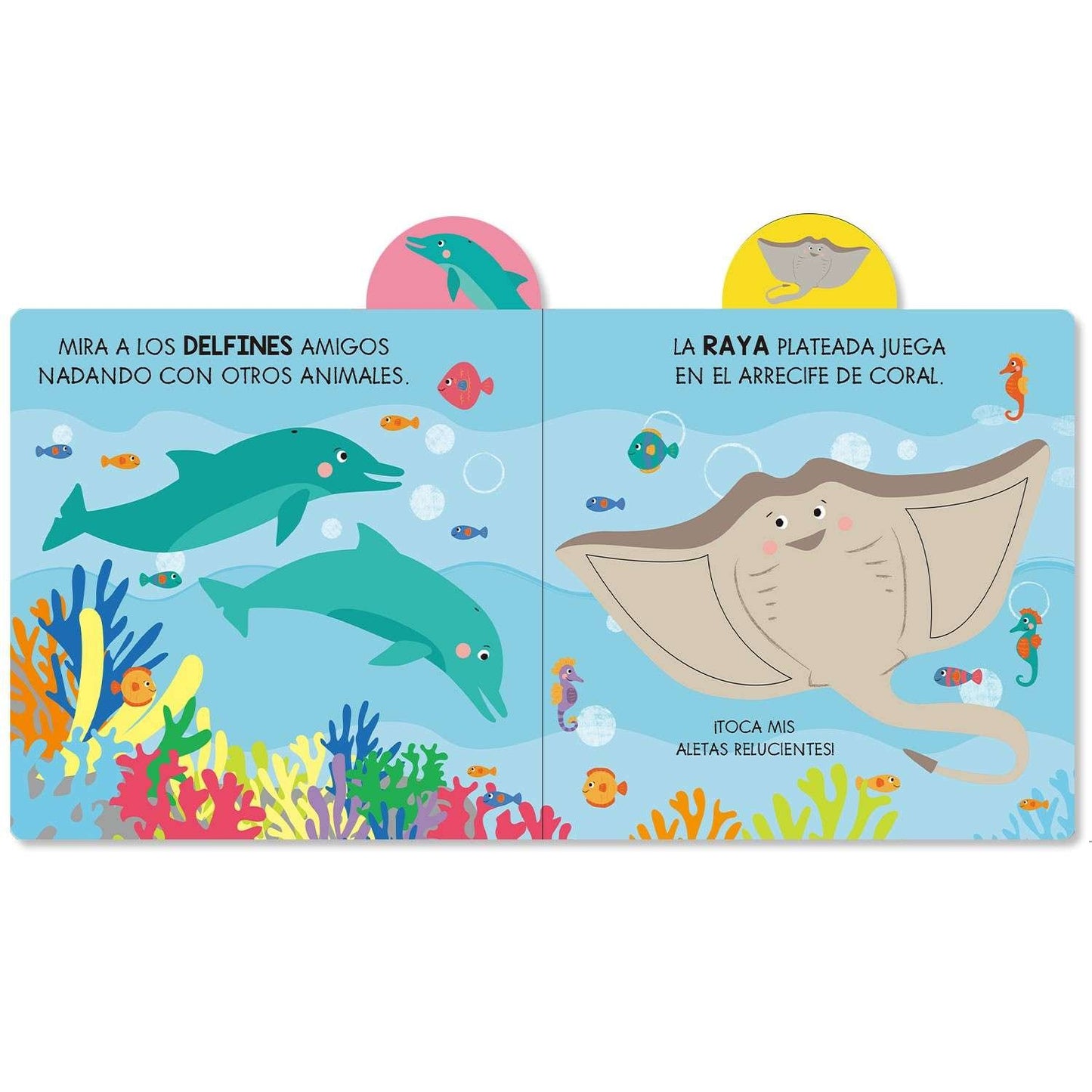 Aventuras en el Océano - Pequeños Exploradores