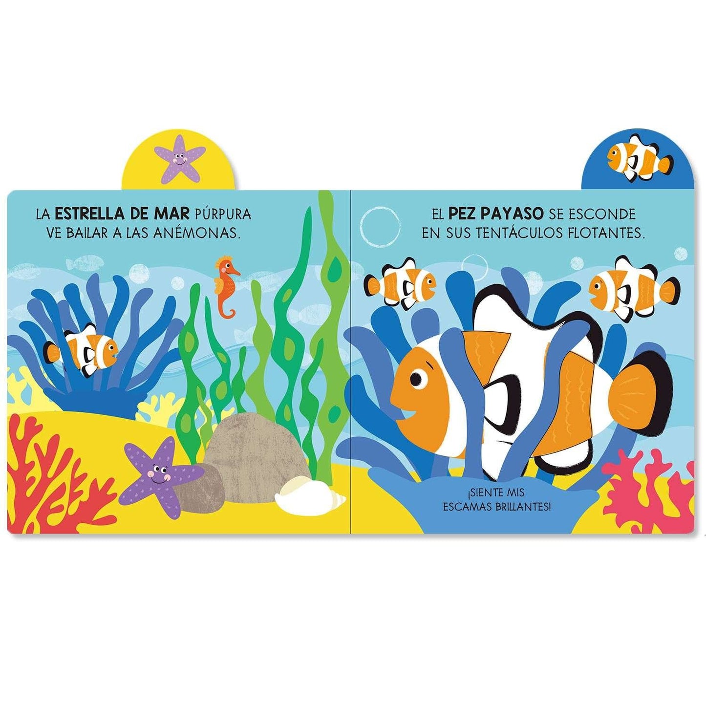 Aventuras en el Océano - Pequeños Exploradores