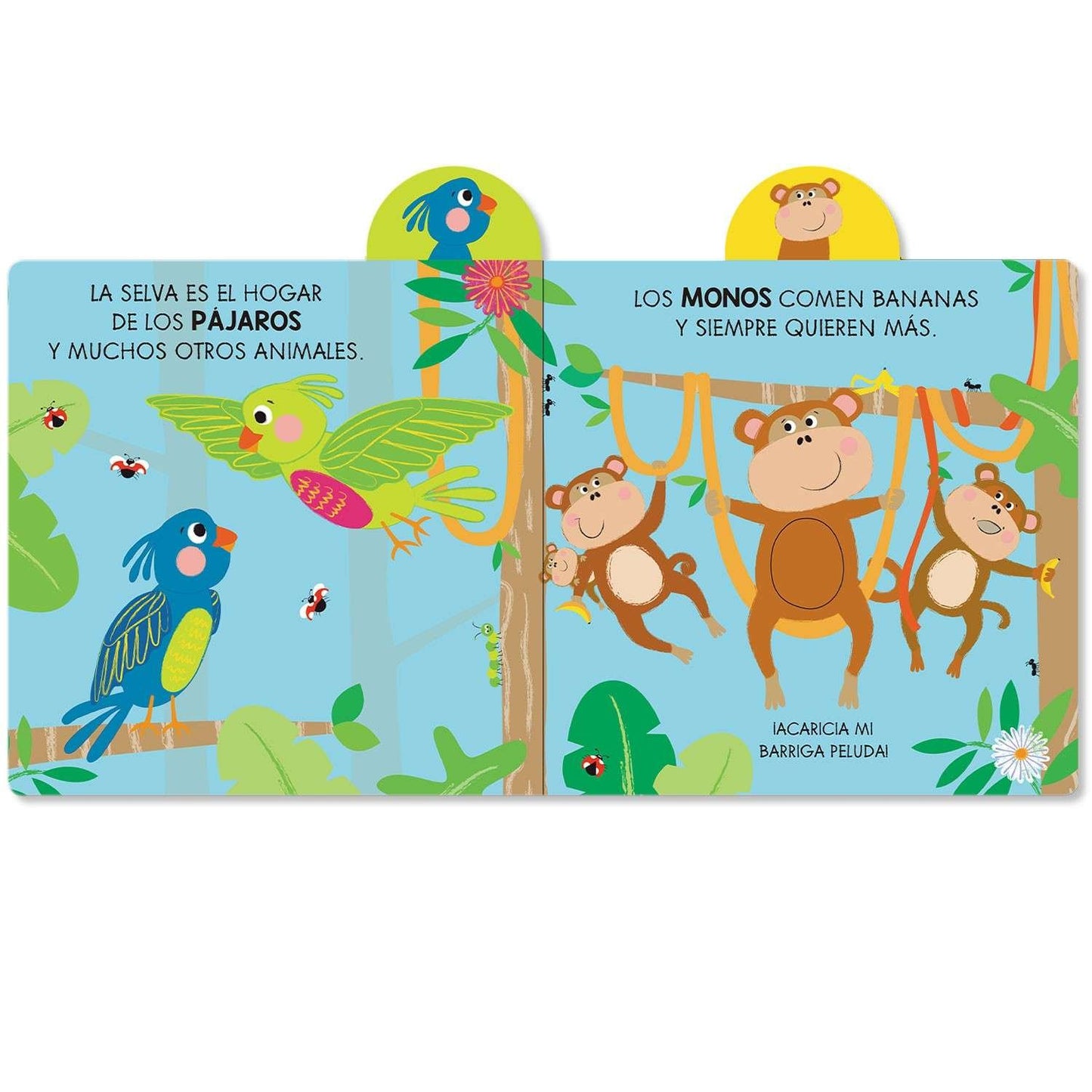 Aventuras en la Selva - Pequeños Exploradores