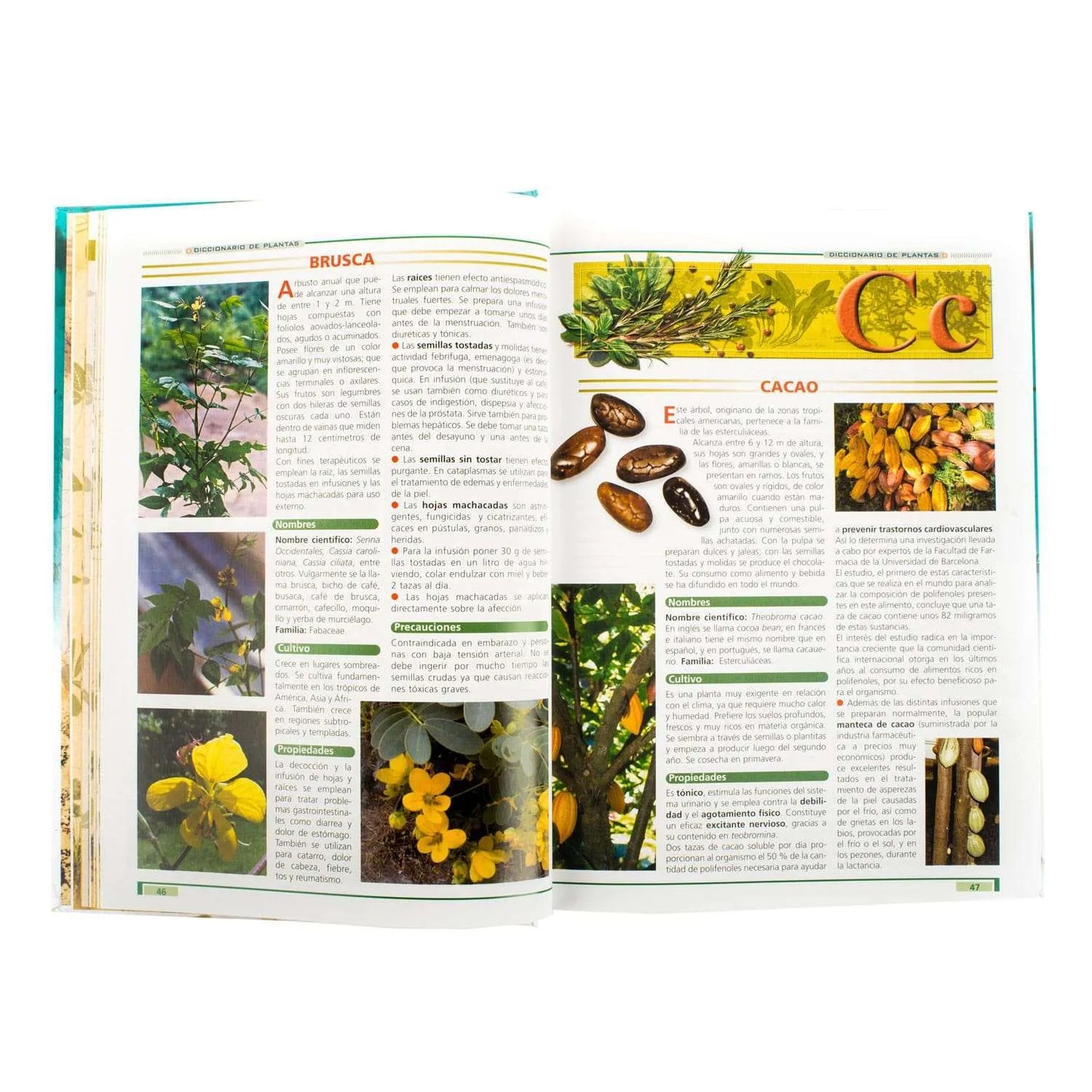 Las Plantas Curativas y sus Propiedades Curativas