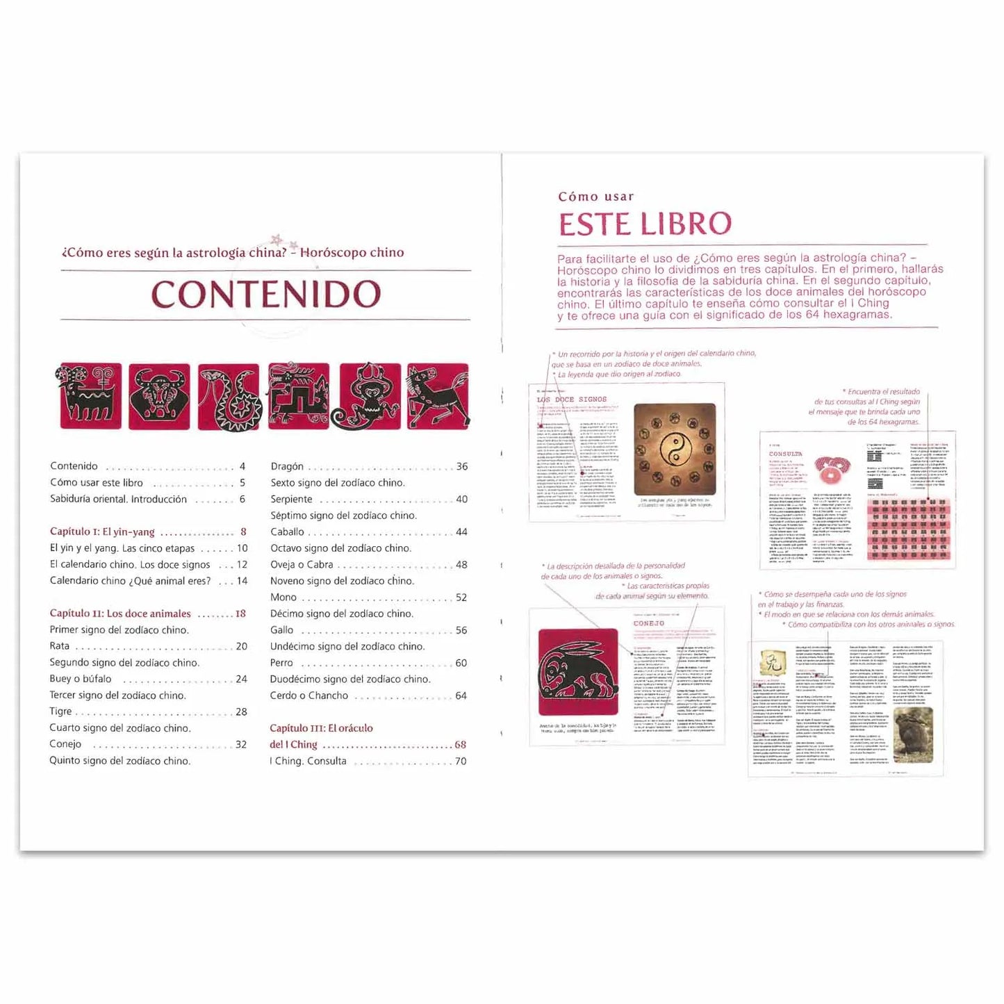 ¿Cómo Eres Según la Astrología China? Horóscopo para todos