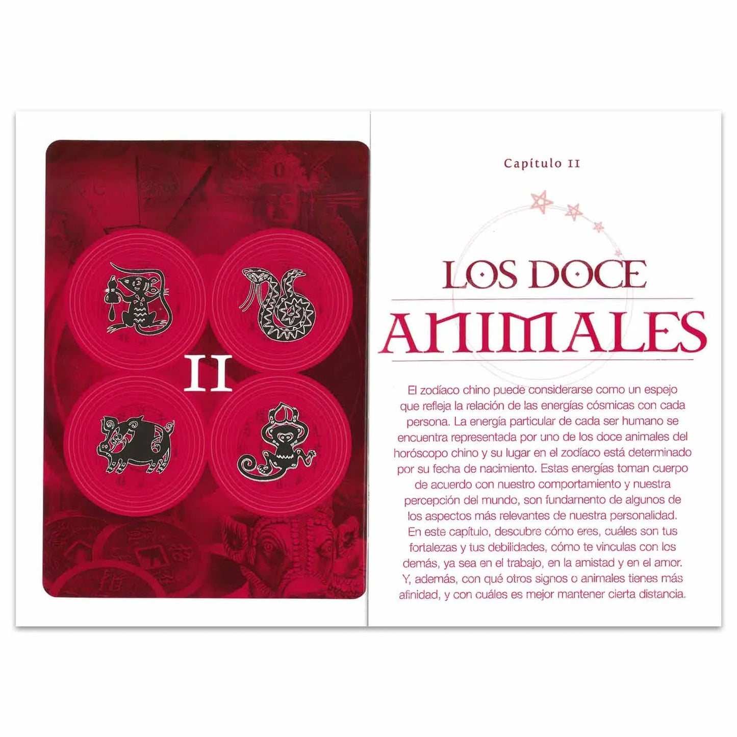 ¿Cómo Eres Según la Astrología China? Horóscopo para todos