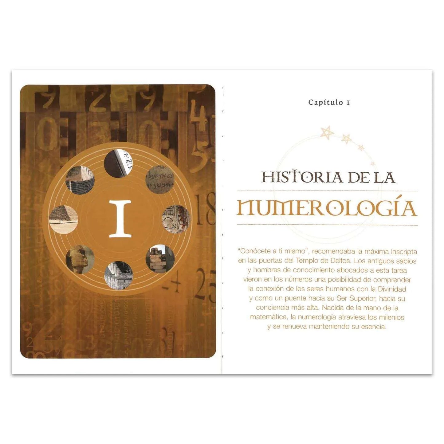 ¿Qué Dicen los Números de Ti? Numerología para Todos