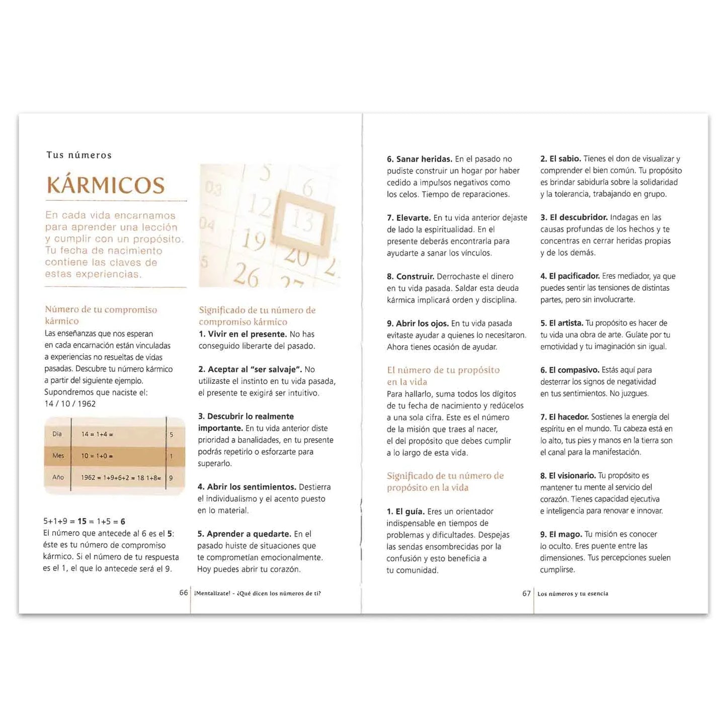 ¿Qué Dicen los Números de Ti? Numerología para Todos