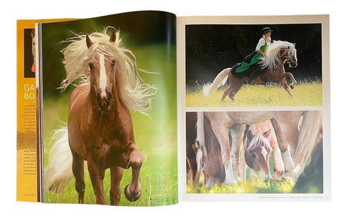 Los Caballos Más Bellos Del Mundo: N/a, De Gabriele Boiselle. N/a, Vol. 1. Editorial Konemann, Tapa Dura En Español, 2017