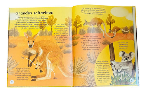 Todo Sobre Animales: N/a, De Polly Cheeseman. N/a, Vol. 1. Editorial Lexus Editores, Tapa Dura En Español, 2023