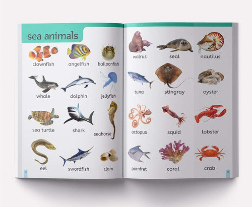 My First 1000 Words Libro Ilustrado De Aprendizaje Temprano