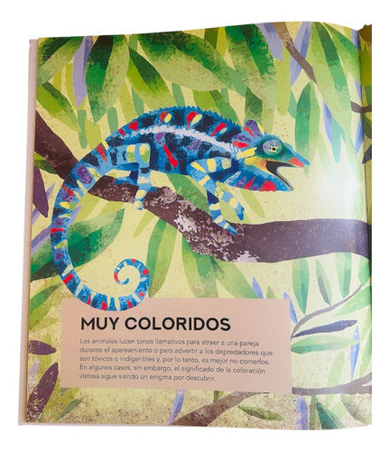 El Gran Libro De Los Animales Extraordinarios - T/dura Lexus