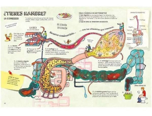 El Cuerpo Humano - Descubre - Lexus