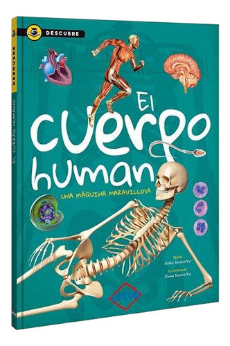 El Cuerpo Humano - Descubre - Lexus