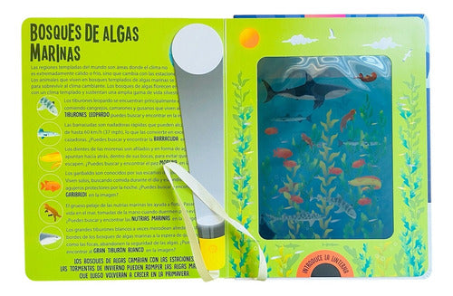 Animales Marinos: Busca Y Encuentra Linterna, De Susie Rae. N/a, Vol. 1. Editorial Lexus Editores, Tapa Dura En Español, 2024