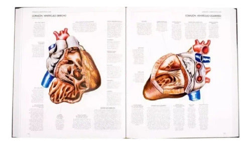 Atlas Del Cuerpo Humano - Anatomia - Fisiologia - Patologia