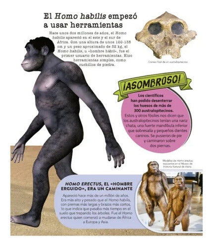 El Libro De Todas Las Cosas - Lexus -nuevo-original- T.dura