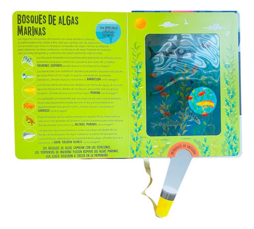 Libro Animales Marinos Busca Y Encuentra Con Linterna- Lexus