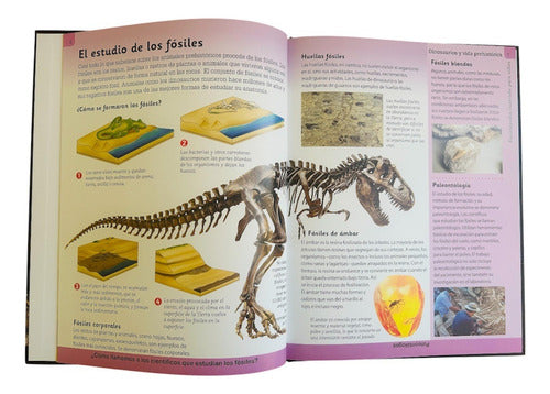 Enciclopedia Ilustrada Para Niños Dinosaurios Y Vida Prehist