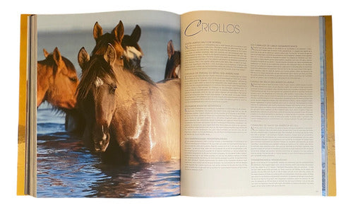 Libro Los Caballos Mas Bellos Del Mundo - Konemann 8 Idiomas