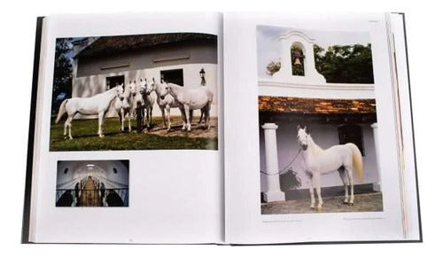 Libro The Arabian Horse - Caballos Arabes - Konemann/idiomas