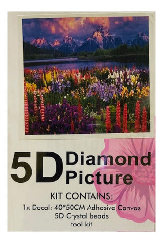 Kit Pintura Diamante 5d 40x50cm Con Herramientas Diseño Surt Colores