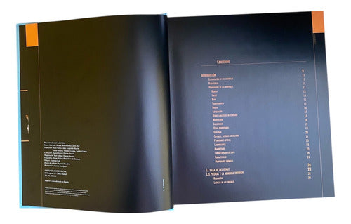 Atlas Ilustrado De Minerales Y Piedras Que Curan - Susaeta