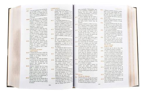 La Santa Biblia Reina Valera Letra Grande Borde Dorado Lexus