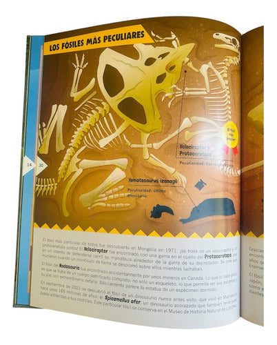 Libro Dinosaurios Y Otros Animales Extintos - T/dura- Lexus